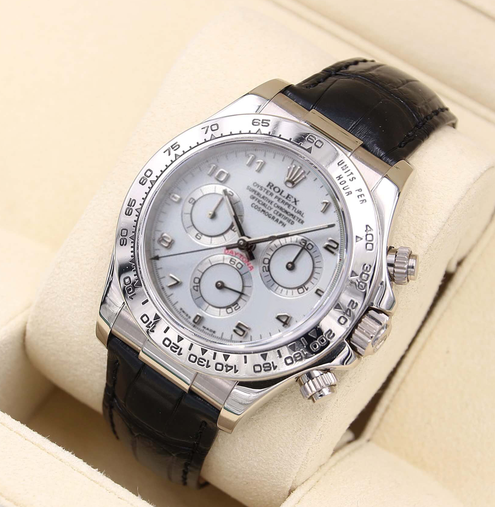 Daytona white online