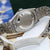 Rolex Datejust 36 ref. 16200 Silver Circle Dial - Jubilee Bracelet
