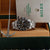 Rolex Submariner Datum Ref. 16610t - Austernarmband - Voller Satz
