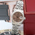 Rolex Lady-Datejust ref. 79174 - Salmon Arabic Dial - Jubilee bracelet