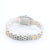 Cartier Panthere ref. 66921 Yellow Gold / Steel
