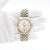 Rolex Datejust ref. 1601 - Silver Dial - Steel/Gold - American Ovolini Bracelet