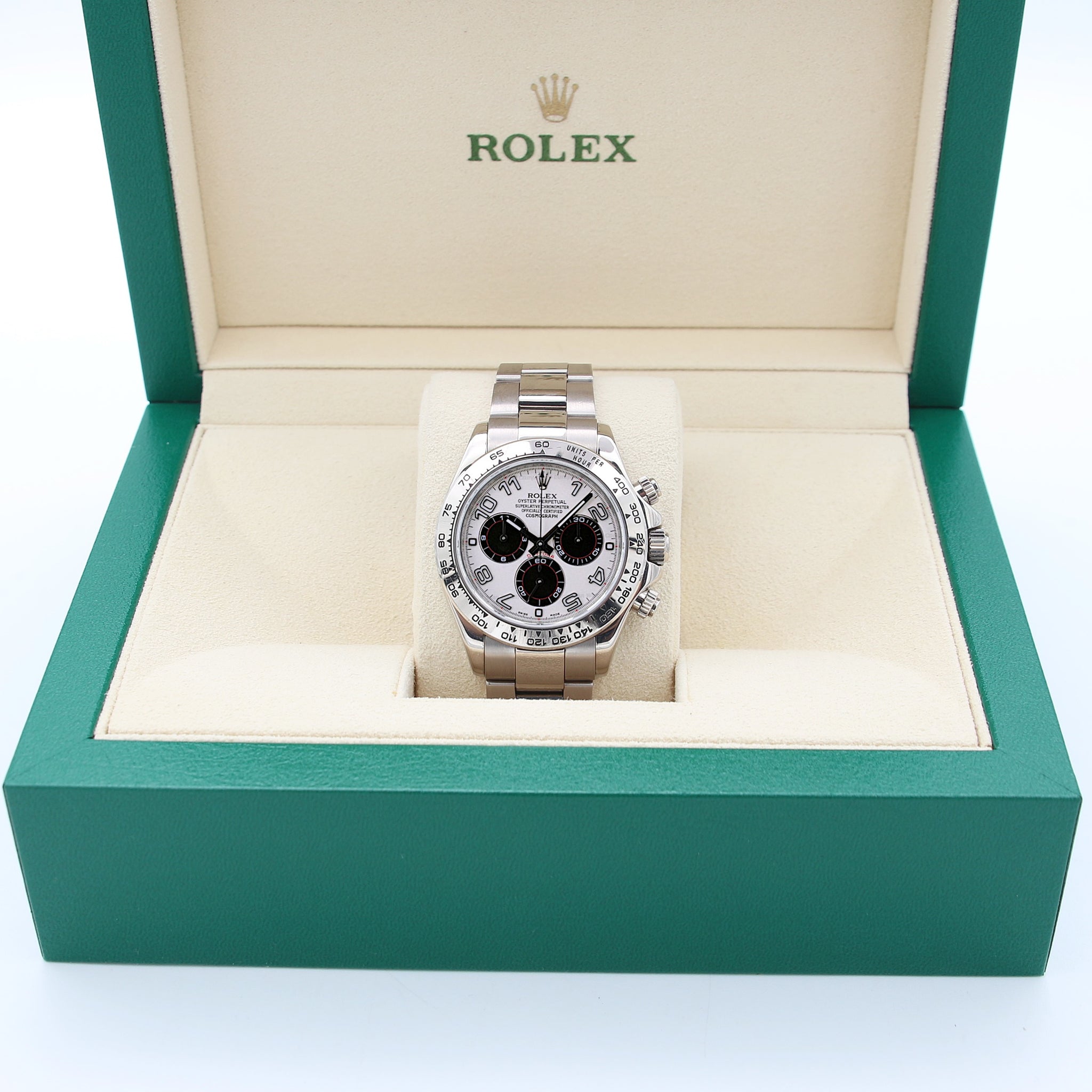 パオラレイナ ROLEX_DAYTONA_GRYDL_WEB_1.jpg?