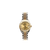 Rolex Lady-Datejust 31mm ref. 178273 Jubilee-Armband mit Champagner-Diamanten-Zifferblatt – komplettes Set