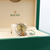 Rolex Datejust ref. 126333 Jubilee-Armband mit Champagner-Zifferblatt – komplettes Set